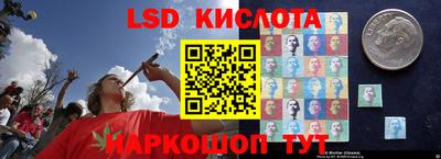 стаф Гусев