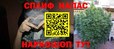 стаф Гусев