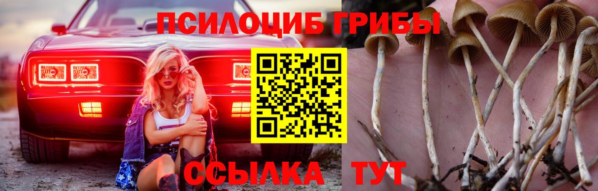 Мичуринск  Галлюциногенные грибы мухоморы  Вход с VPN 